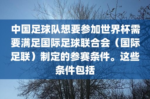 中国足球队想要参加世界杯需要满足国际足球联合会（国际足联）制定的参赛条件。这些条件包括