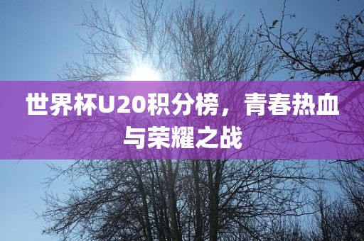 世界杯U20积分榜，青春热血与荣耀之战