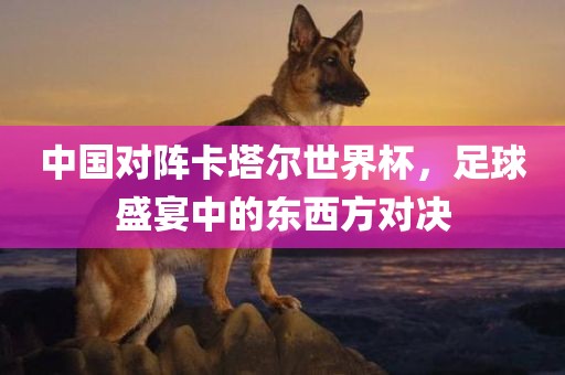 中国对阵卡塔尔世界杯，足球盛宴中的东西方对决洪湖市顺升工程机械租赁有限公司