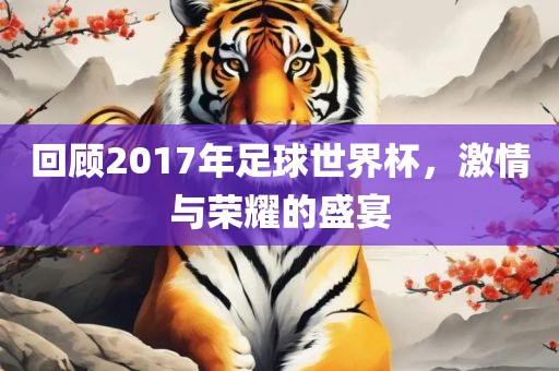 回顾2017年足球世界杯，激情与荣耀的盛宴
