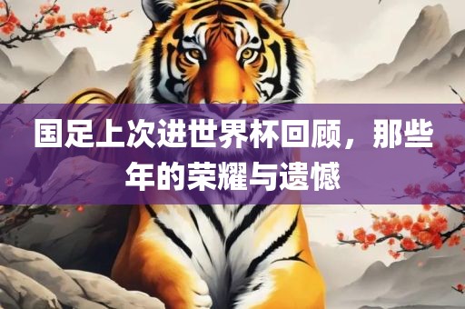 国足上次进世界杯回顾，那些年的荣耀与遗憾洪湖市顺升工程机械租赁有限公司