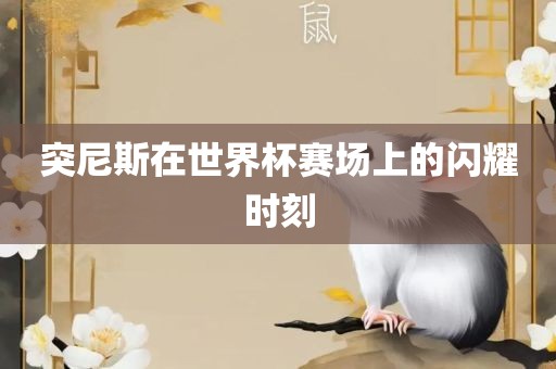 突尼斯在世界杯赛场上的闪耀时刻洪湖市顺升工程机械租赁有限公司