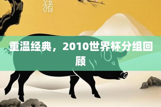 重温经典，2010世界杯分洪湖市顺升工程机械租赁有限公司组回顾