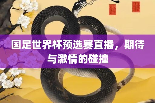 国足世界杯预选赛直播，期待与激情的碰撞