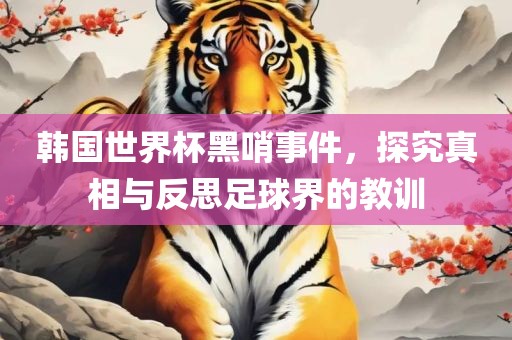 韩国世界杯黑哨事件，探究真相与反思足球界的教训