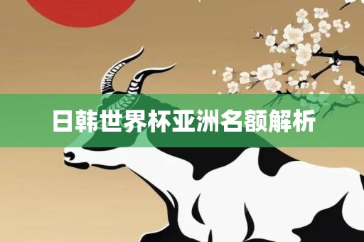 日韩世界杯亚洲名额解析