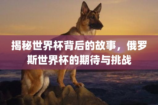 揭秘世界杯背后的故事，俄罗斯世界杯的期待与挑战洪湖市顺升工程机械租赁有限公司