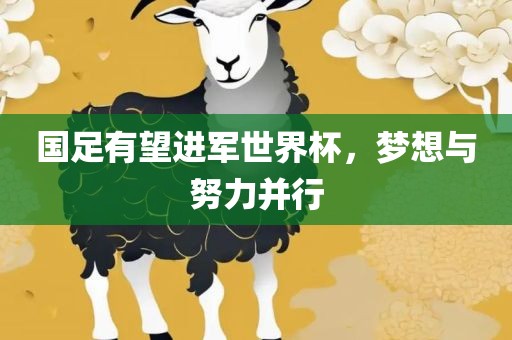 国足有望进军世界杯，梦想与努力并行