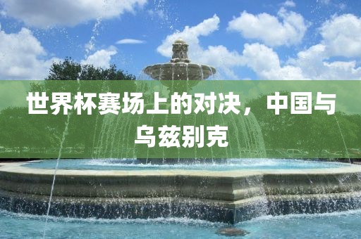 世界杯赛场上的对决，中洪湖市顺升工程机械租赁有限公司国与乌兹别克