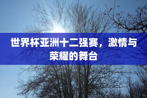 世界杯亚洲十二强赛，激情与荣耀的舞台洪湖市顺升工程机械租赁有限公司