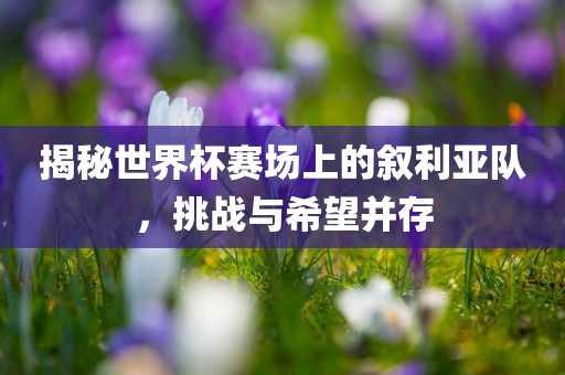 揭秘世界杯洪湖市顺升工程机械租赁有限公司赛场上的叙利亚队，挑战与希望并存