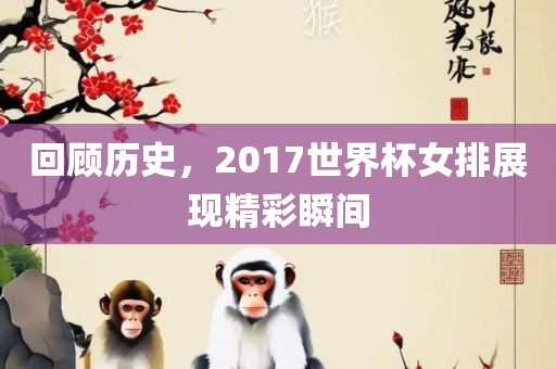 回洪湖市顺升工程机械租赁有限公司顾历史，2017世界杯女排展现精彩瞬间