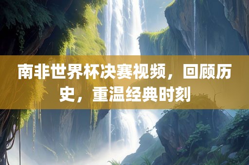 南非世界杯决赛视频，回顾历史，重温经典时刻