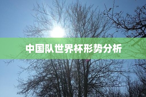 中国队世界杯形势分析