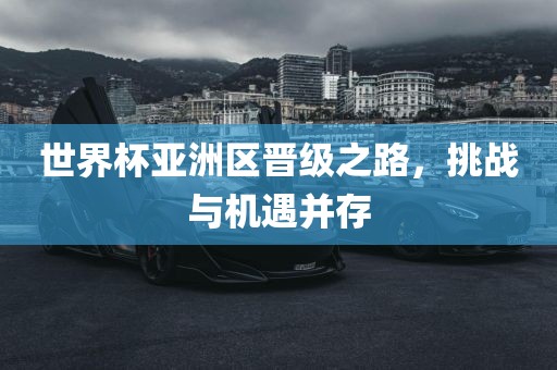 世界杯亚洲区晋级之路，挑战与机遇并存