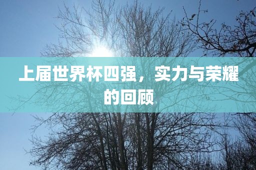 上届世界杯四强，实力与荣耀的回顾