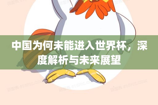 中国为何未能进入世界杯，深度解析与未来展望