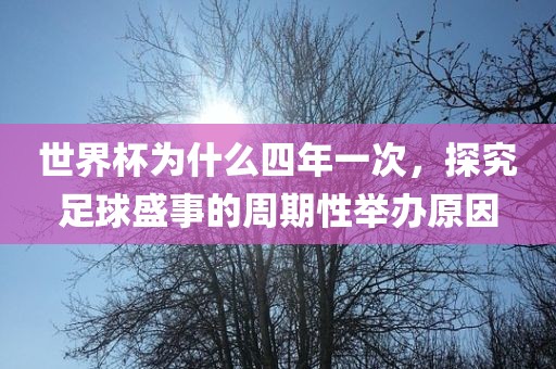 世界杯为什么四年一次，探究足球盛事的周期性举办原因