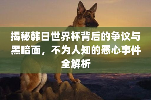 揭秘韩日世界杯背后的争议与黑暗面，不为人知的恶心事件全解析洪湖市顺升工程机械租赁有限公司