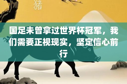 国足未曾拿过世界杯冠军，我们需要正视现实，坚定信心前行