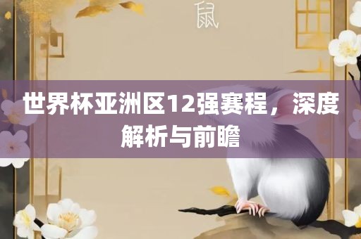世界杯亚洲区12强赛程，深度解析与前瞻