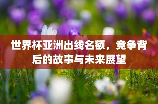 世界杯亚洲出线名额，竞争背后的故事与未来展洪湖市顺升工程机械租赁有限公司望