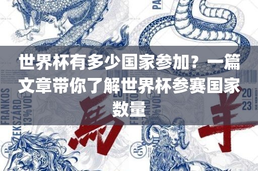 世界杯有多少国家参加？一篇文章带你了解世界杯参赛国家数量洪湖市顺升工程机械租赁有限公司
