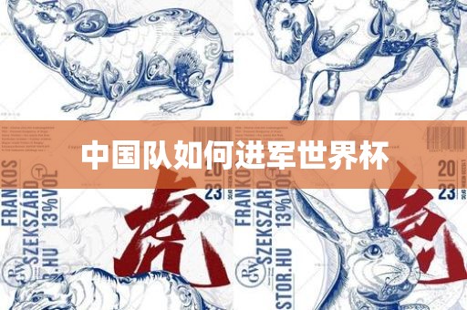 中国队如何进军世界杯