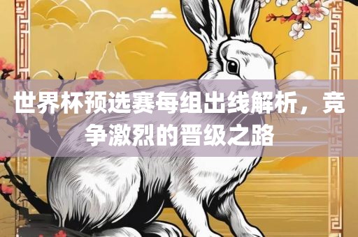 世界杯预选赛每组出线解析，竞争激烈的晋级之路