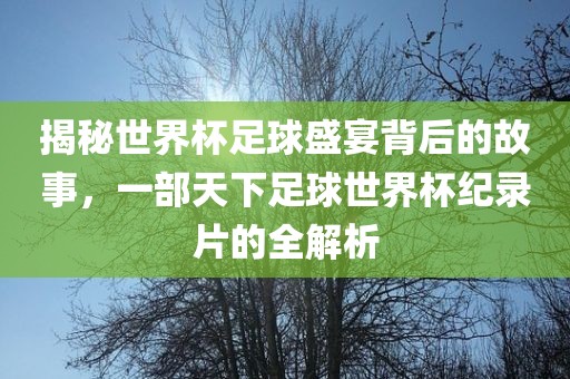 揭秘世界杯足球盛宴背后的故事，一部天下足球世界杯纪录片的全解析