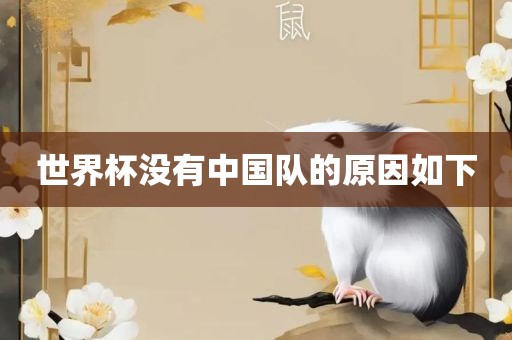 世界杯没有中国队的原因如下