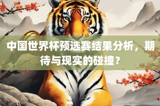 中国世界杯预选赛结果分析，期待与现实的碰撞？
