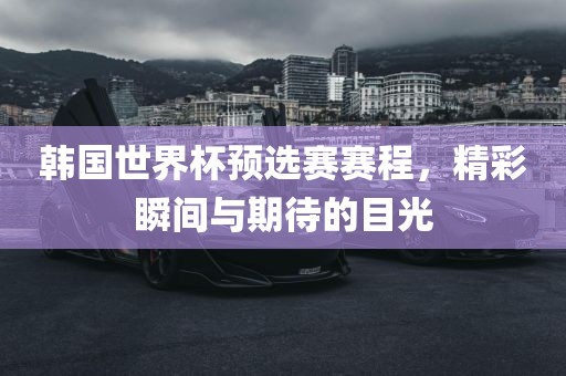 韩国世界杯预选赛赛程，洪湖市顺升工程机械租赁有限公司精彩瞬间与期待的目光