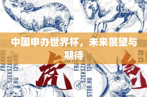 中国申办世界杯，未来展望与期待