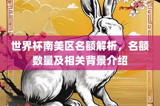 世界杯南美区名额解析，名额数量及相关背景介绍