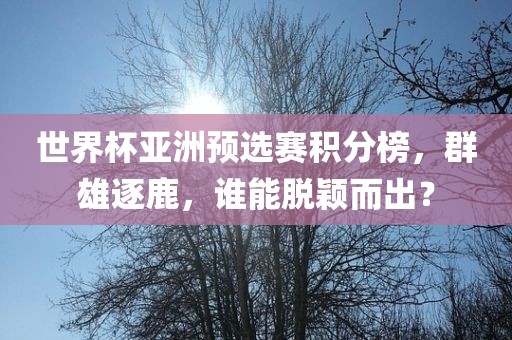 世界杯亚洲预选赛积分榜，群雄逐鹿，谁能脱颖而出？