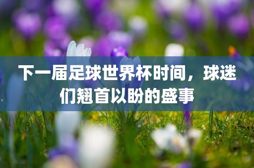 下一届足球世界杯时间，球迷们翘首以盼的盛事洪湖市顺升工程机械租赁有限公司