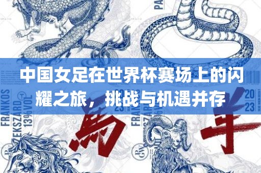 中国女足在世界杯赛场上的闪耀之旅，挑战与机遇并存