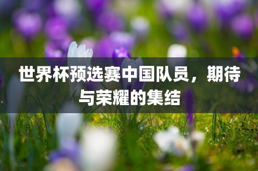 世界杯预选赛中国队员，期待与荣耀的集结洪湖市顺升工程机械租赁有限公司