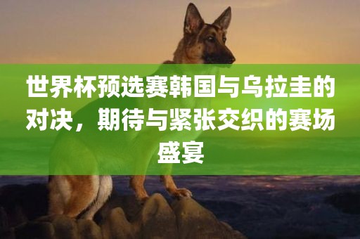 世界杯预选赛韩国与乌拉圭的对决，期待与紧张交织的赛场盛宴洪湖市顺升工程机械租赁有限公司