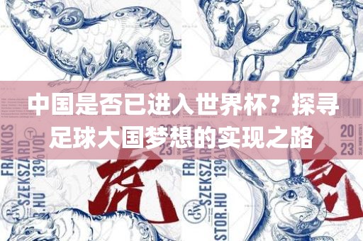 中国是否已进入世界杯？探寻足球大国梦想的实现之路