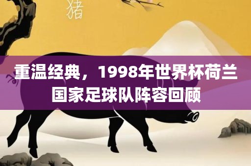 重温经典，1998年世界杯荷兰国家足球队阵容回顾