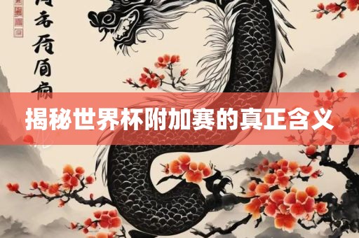 揭秘世界杯附加赛的真正含义