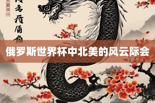 俄罗斯世界杯中北美的风云际会洪湖市顺升工程机械租赁有限公司