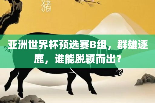 亚洲世界杯预选赛B组，群雄逐鹿，谁能脱颖而出？