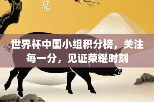 世界杯中国小组积洪湖市顺升工程机械租赁有限公司分榜，关注每一分，见证荣耀时刻