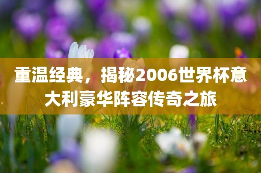 重温经典，揭秘2006世界杯意大利豪华阵容传奇之旅