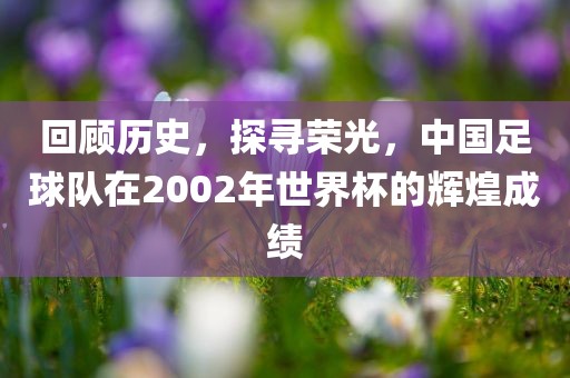 回顾历史，探寻荣光，中国足球队在2002年世界杯的辉煌成绩