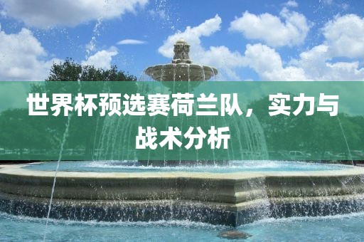 世界杯预选赛荷兰队，实力与战术分析