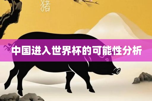 中国进入世界杯的可能性分析